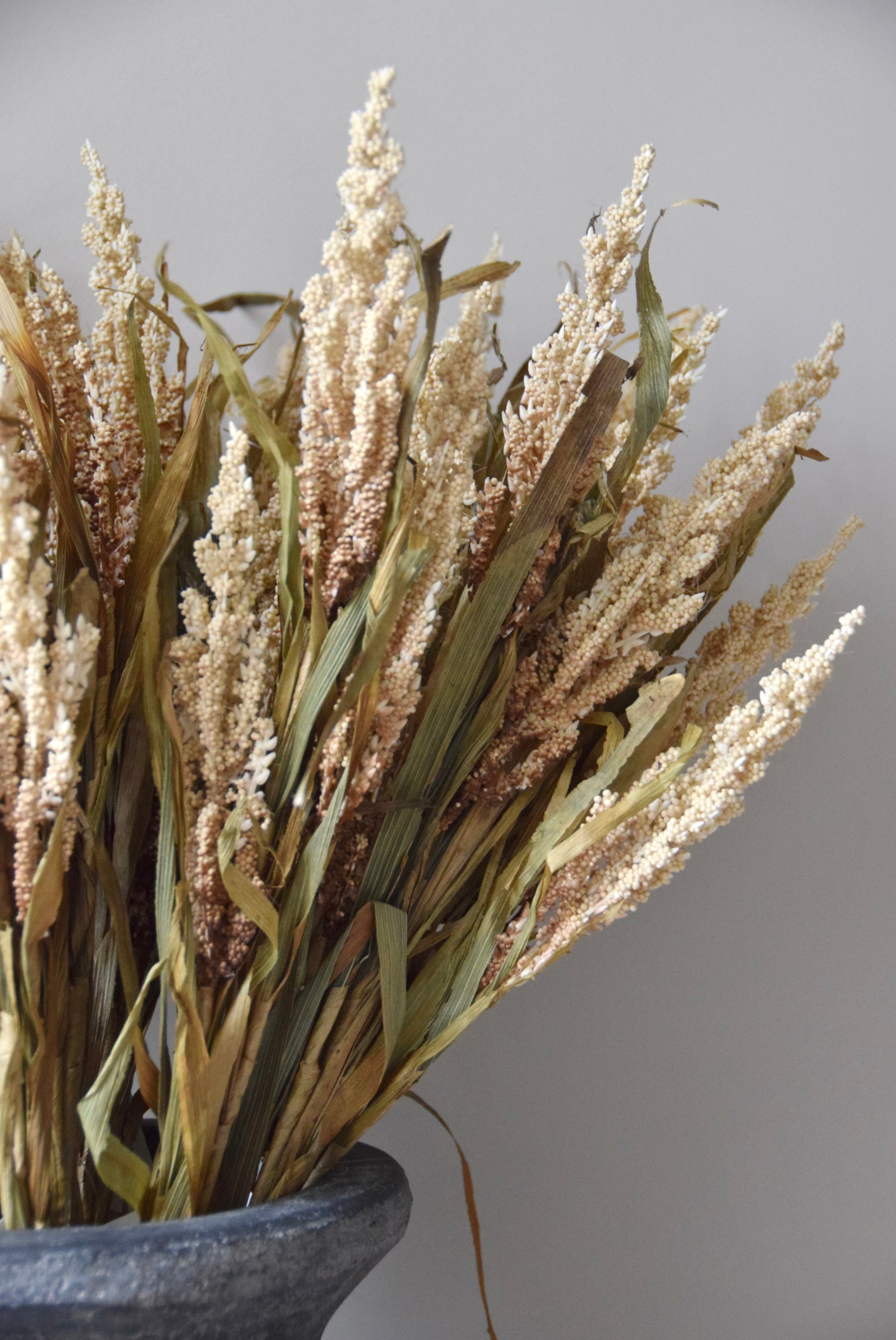 Dried plants in a pot against a plain background