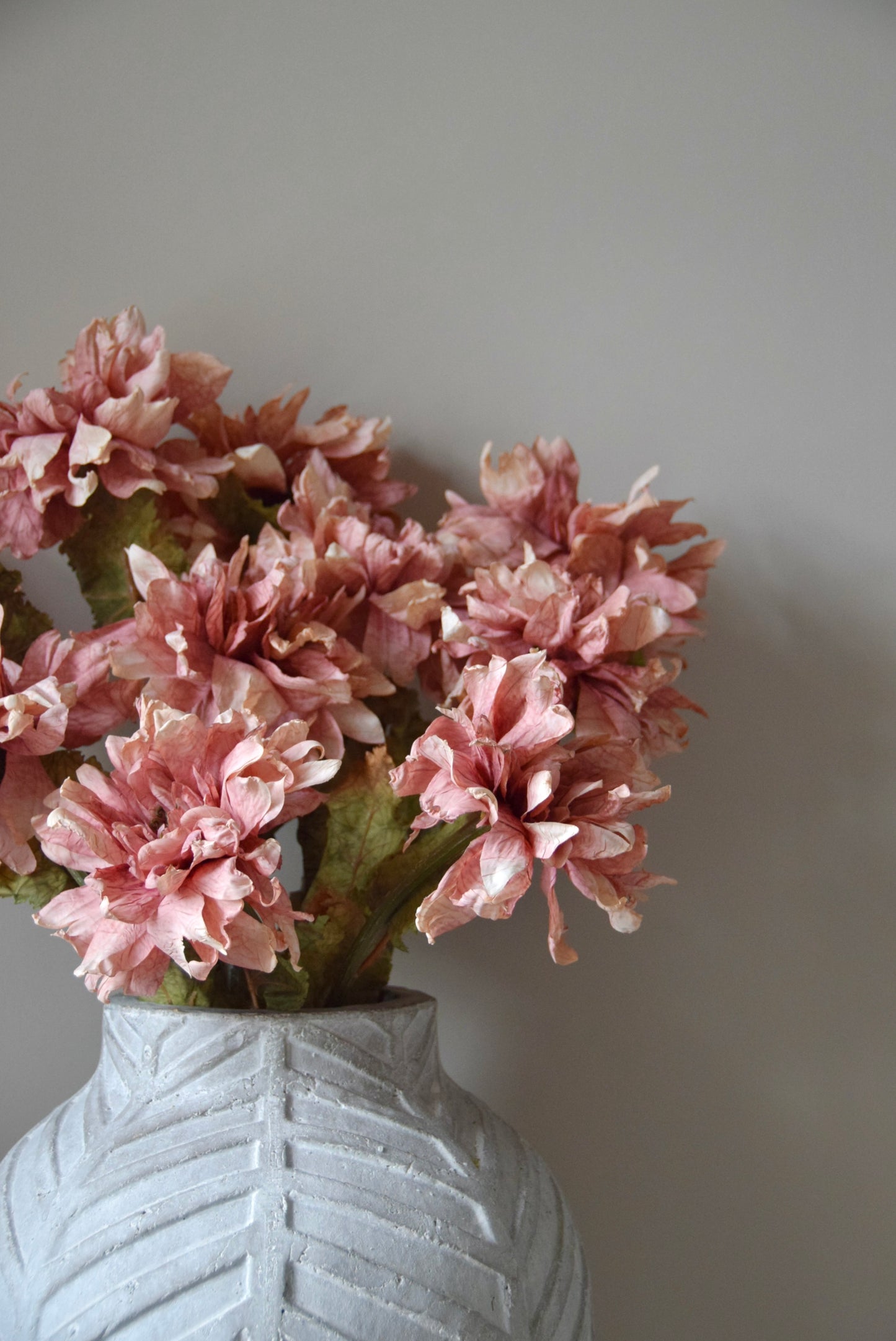 Pink flowers in a textured white vase against a plain background