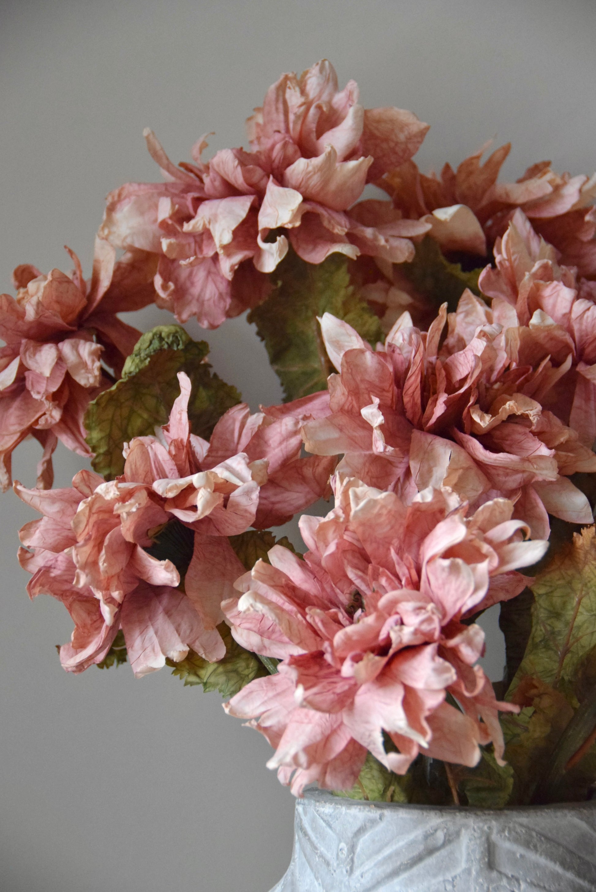 Pink flowers in a white vase against a grey background