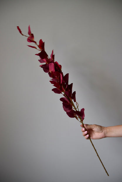 Hand holding a dried red plant against a plain background