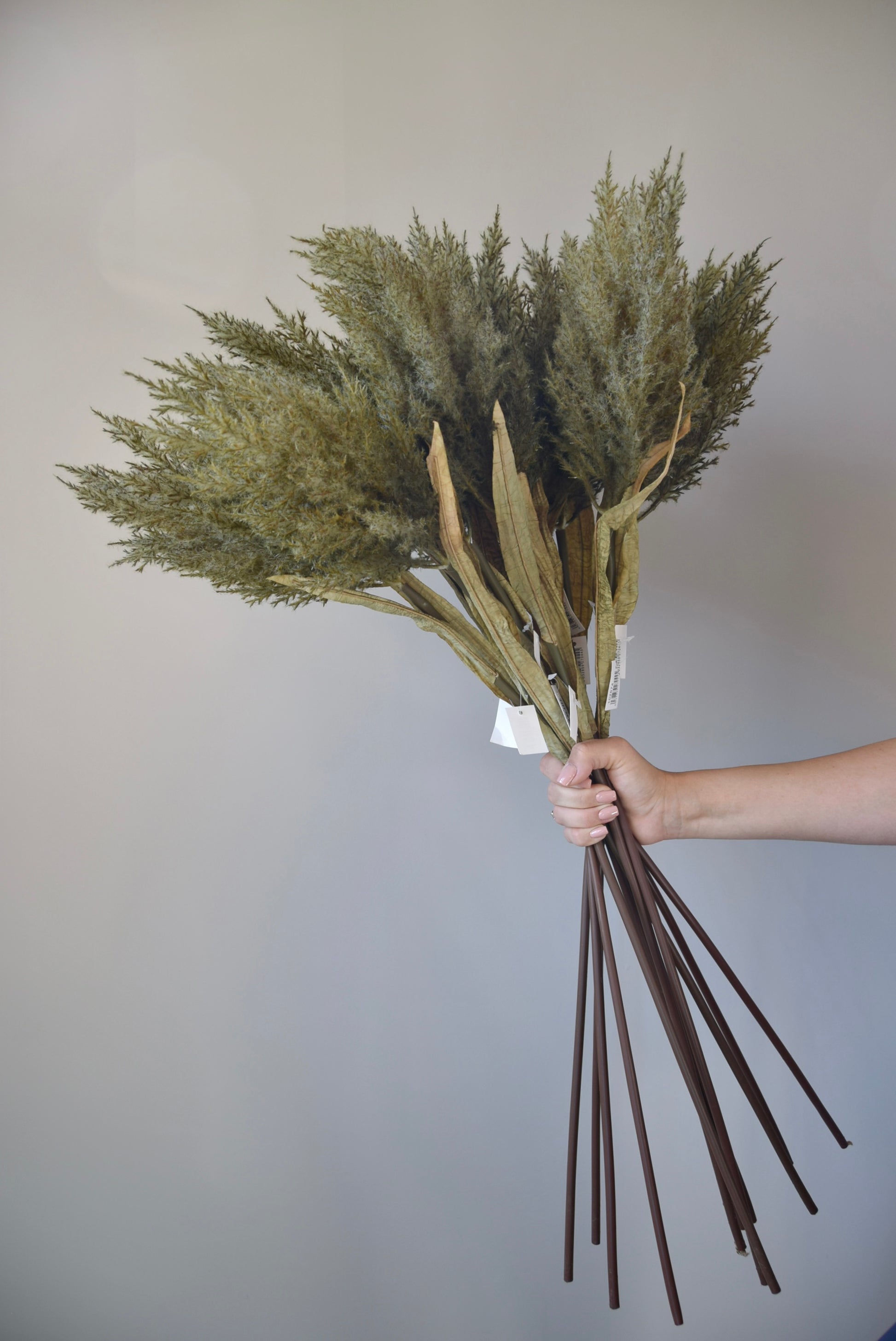 Bouquet of dried grasses held by a hand against a plain background