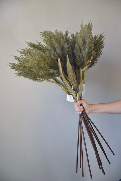 Bouquet of dried grasses held by a hand against a plain background