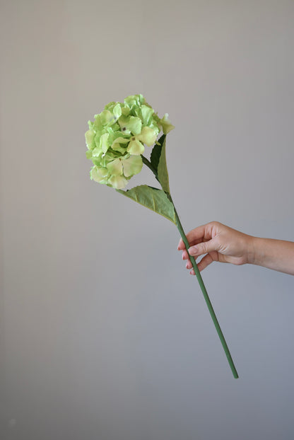 Hand holding a light green artificial flower against a plain background