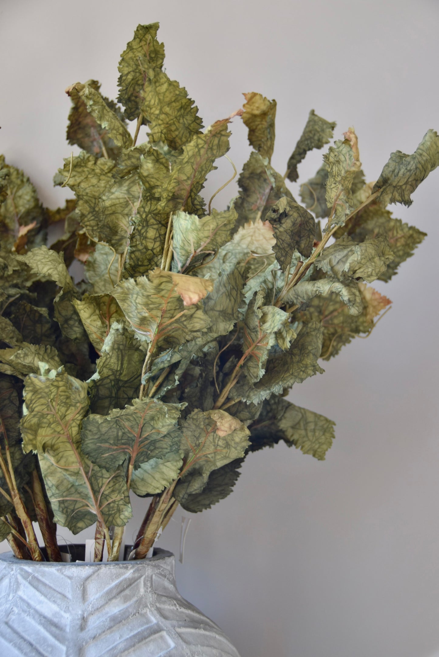 Bouquet of dried green leaves in a textured vase against a plain background