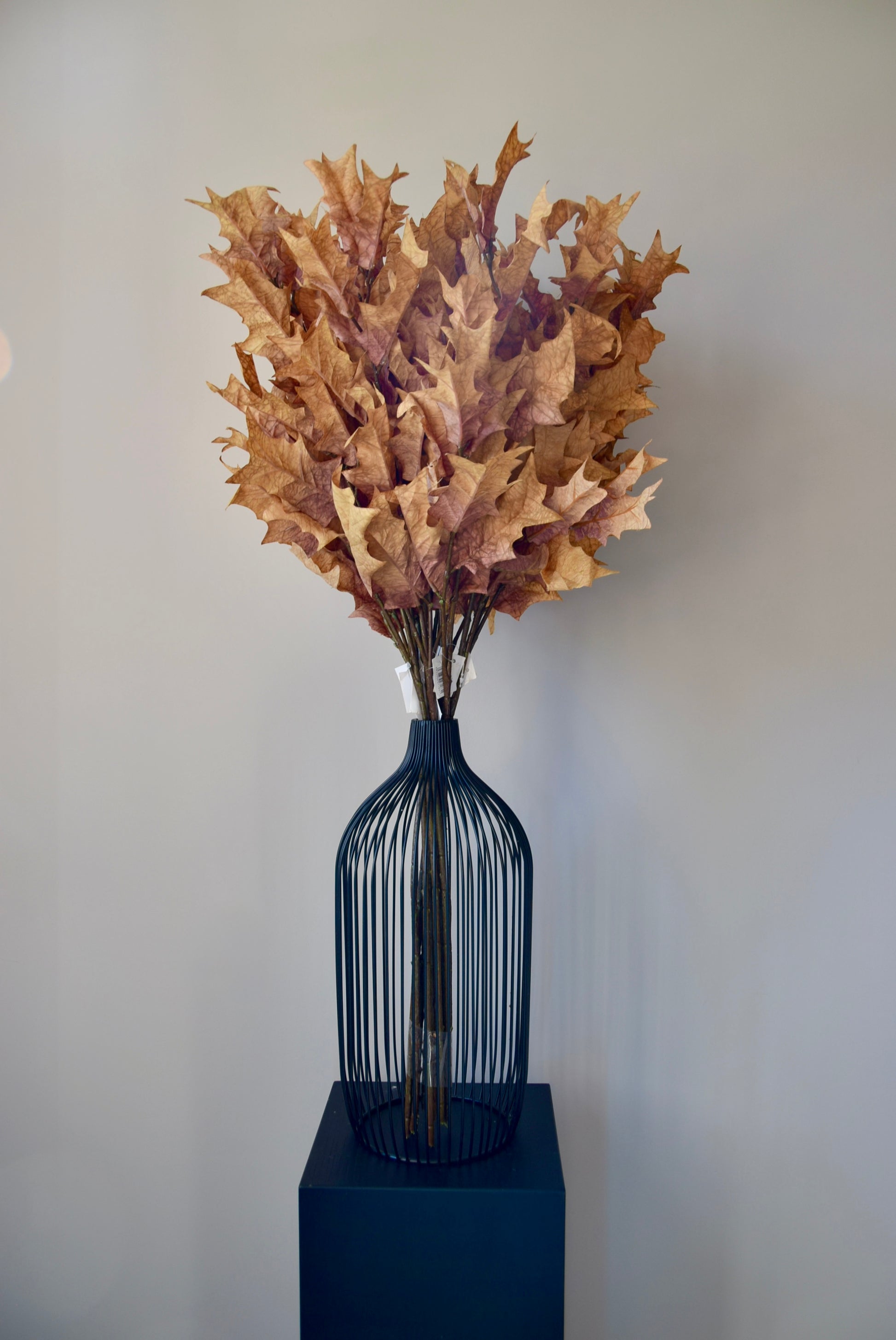 Decorative vase with dried leaves on a plain background