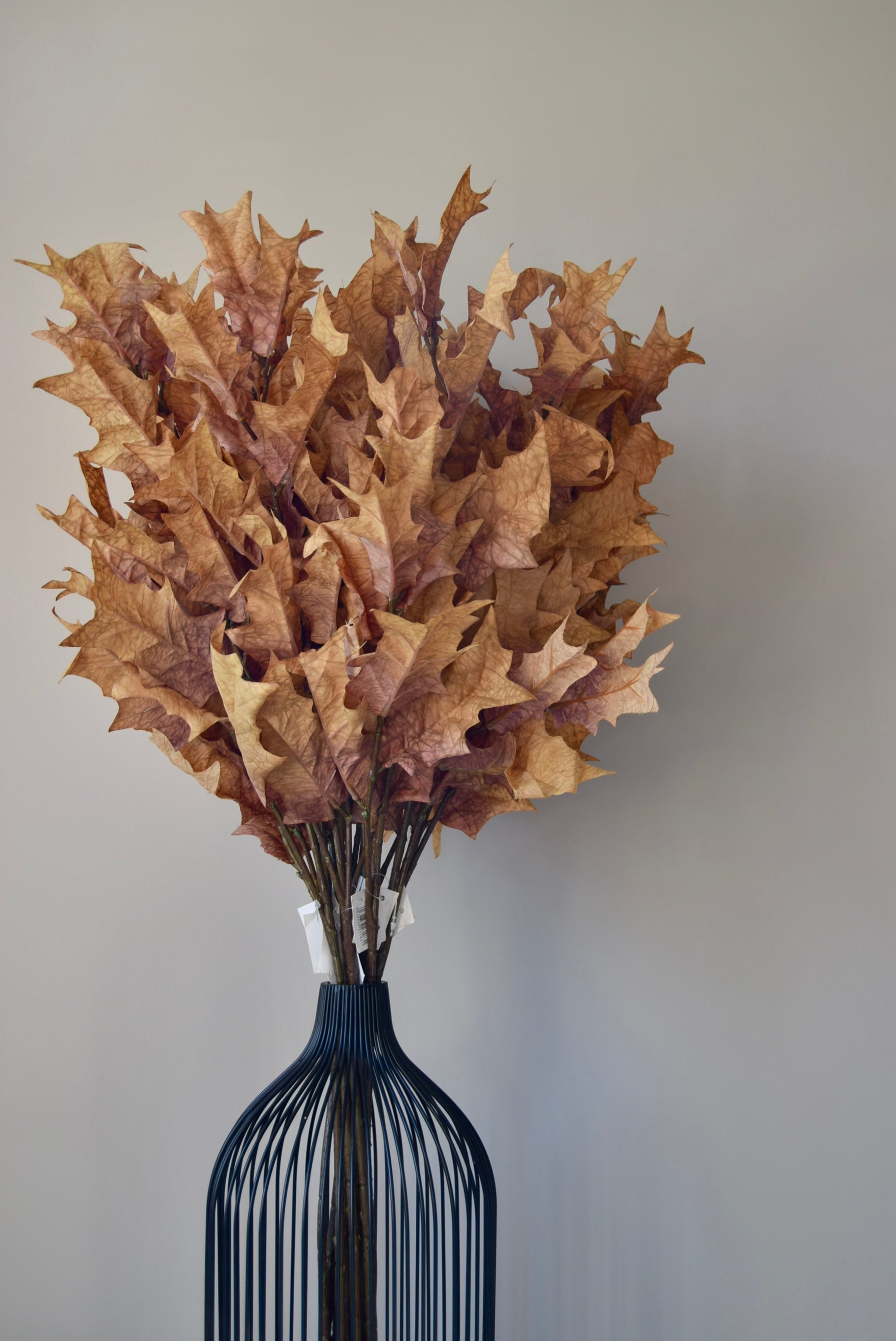 Bouquet of dried brown leaves in a black wire vase against a plain background
