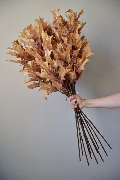Bouquet of dried brown leaves held against a plain background