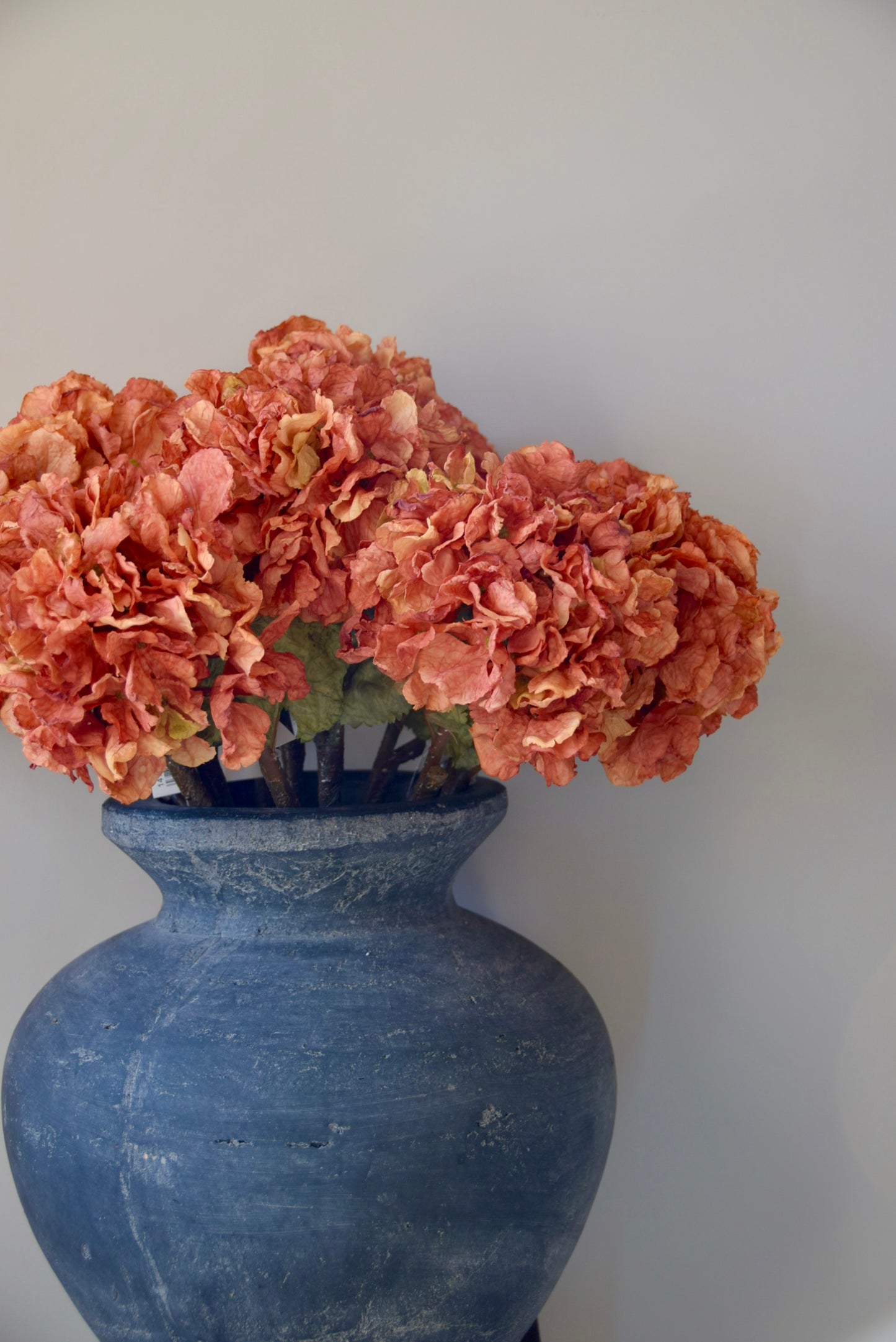 Grey vase with orange hydrangeas on a plain background
