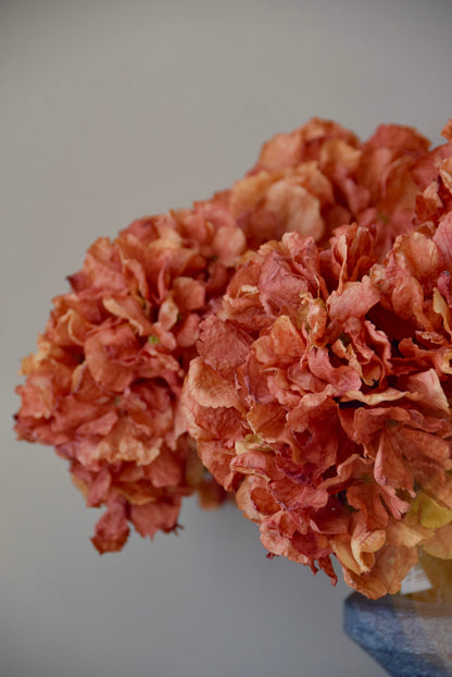 Dried orange flowers in a grey vase against a plain background