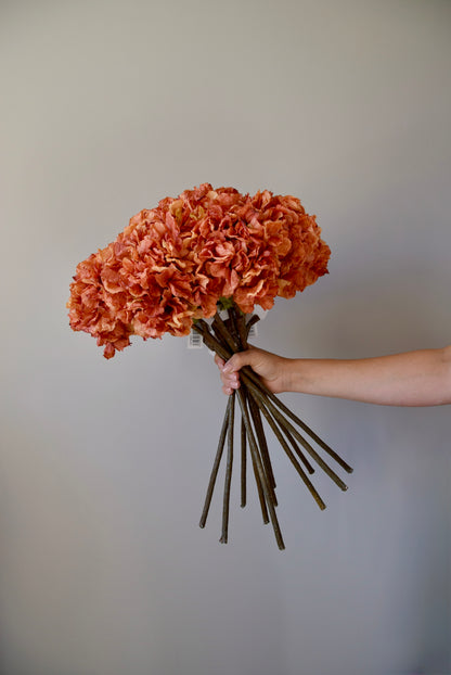 Hand holding a bouquet of orange flowers against a plain background