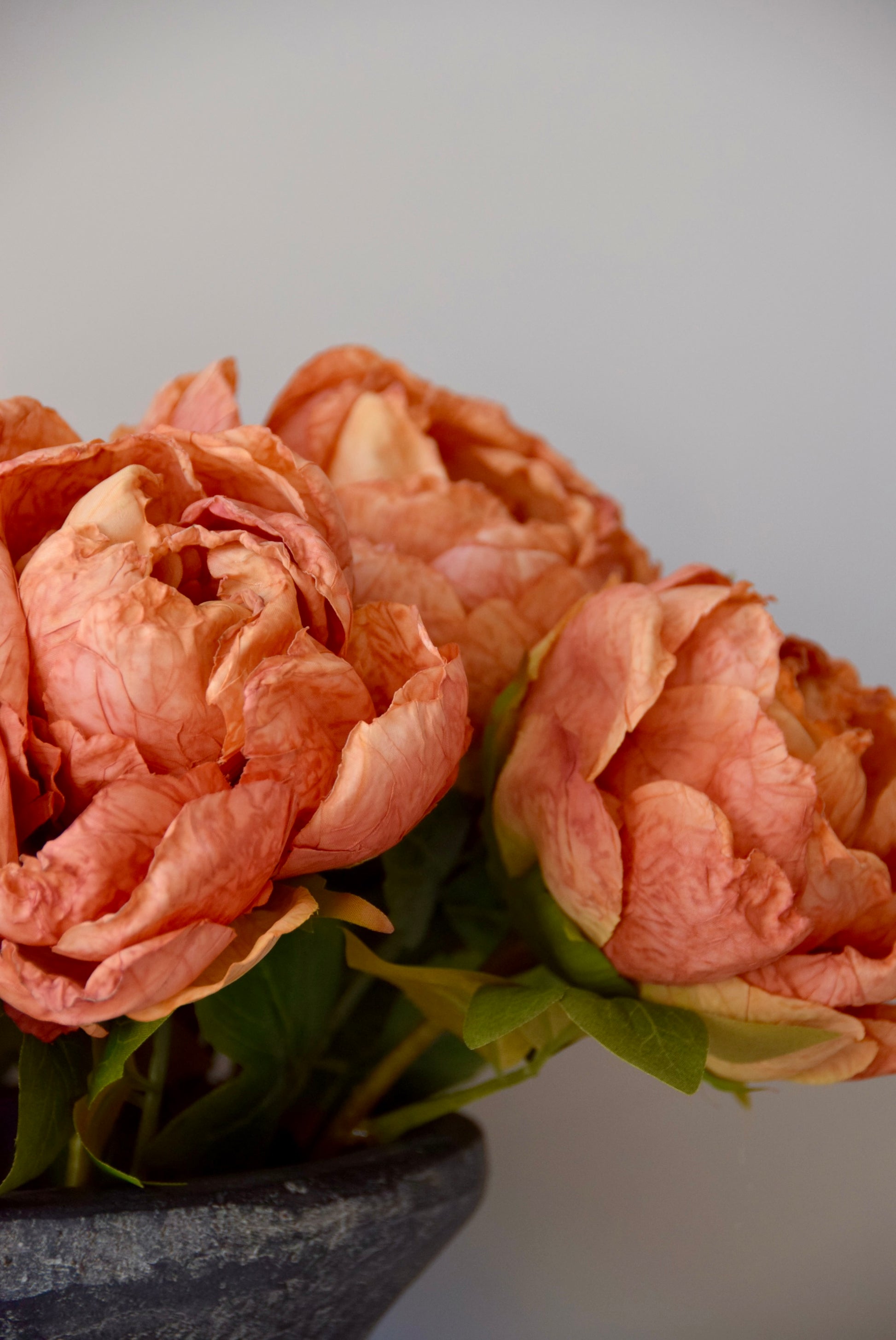 Bouquet of peony flowers in a dark vase against a light grey background