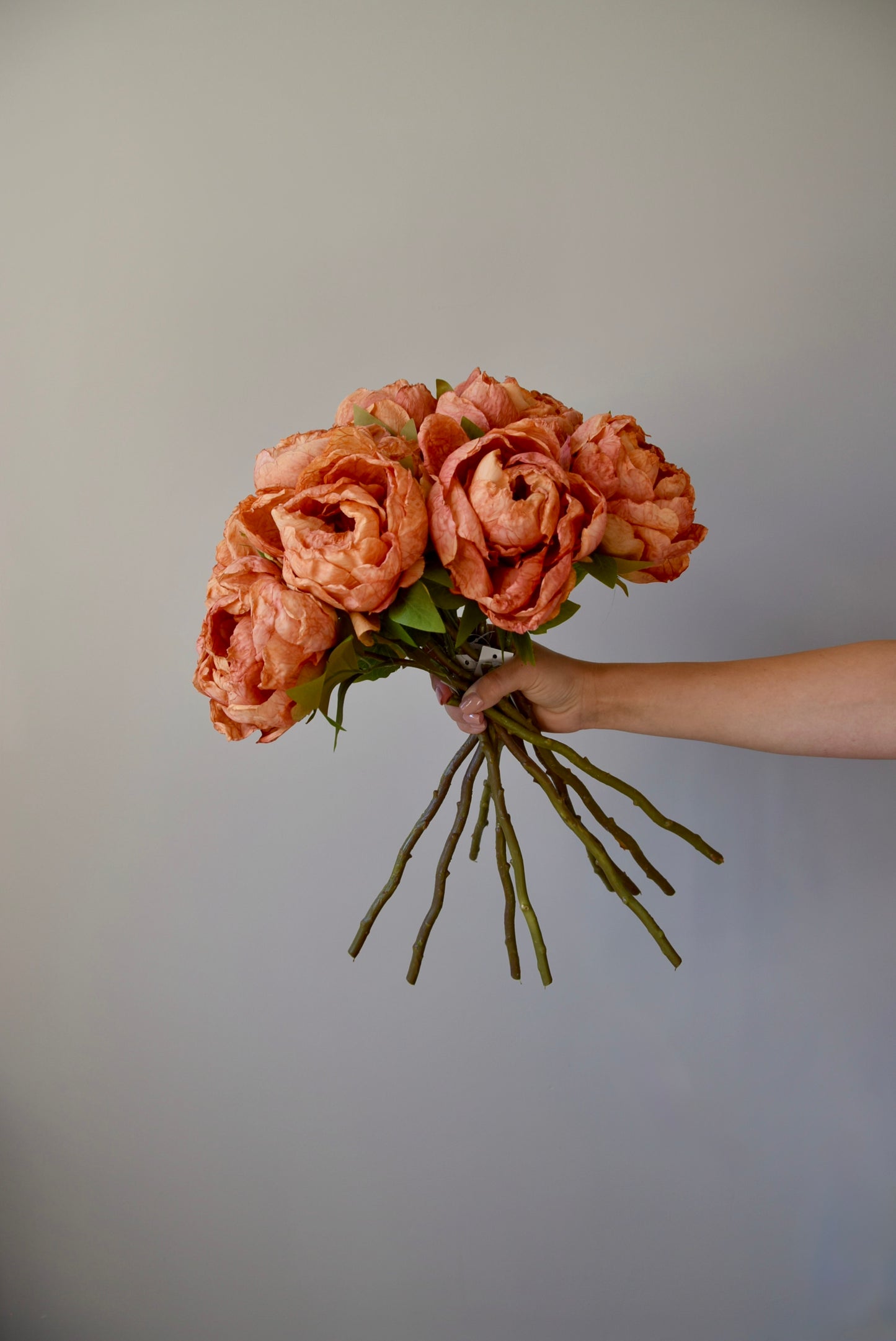 Bouquet of peonies held against a plain background