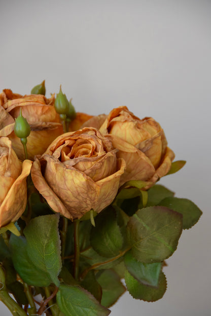 Bouquet of dried roses with green leaves on a plain background
