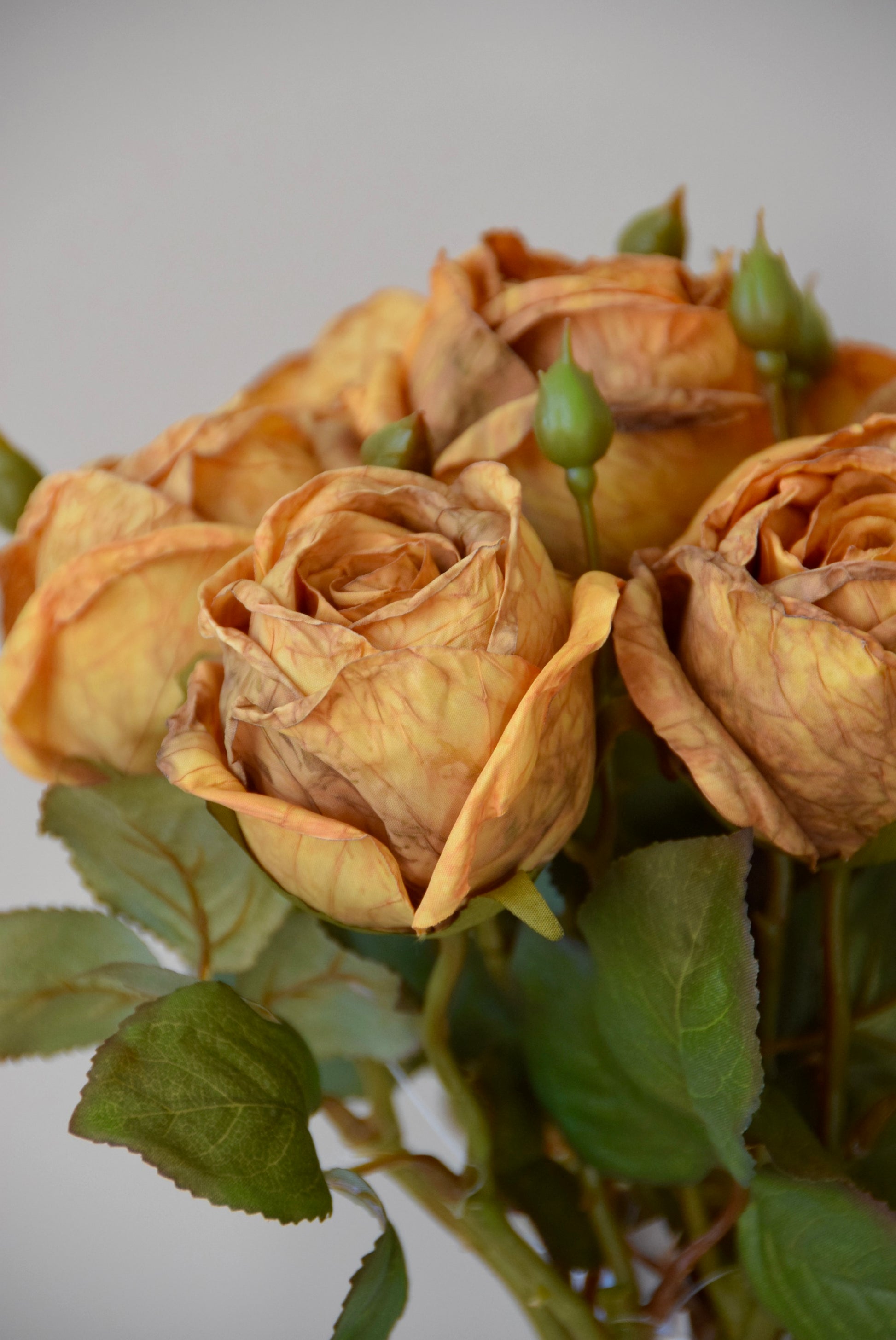 Bouquet of dried orange roses with green leaves on a light grey background