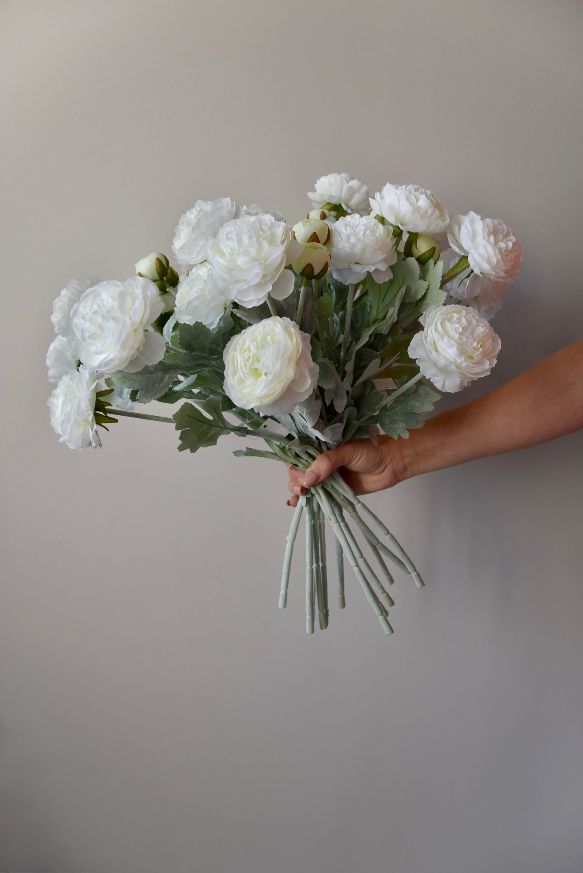 Bouquet of white flowers held by a hand against a plain background