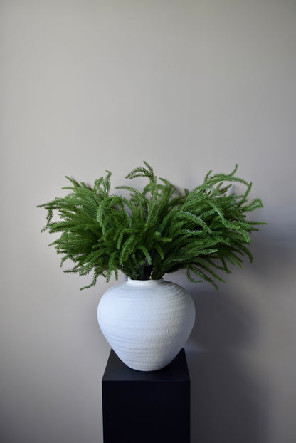 Green plant in a white vase on a black stand against a plain background