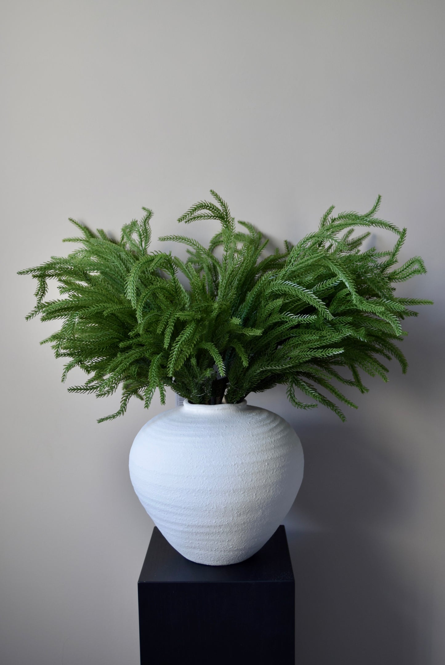 Norfolk pine stems in a white vase on a black stand against a plain background