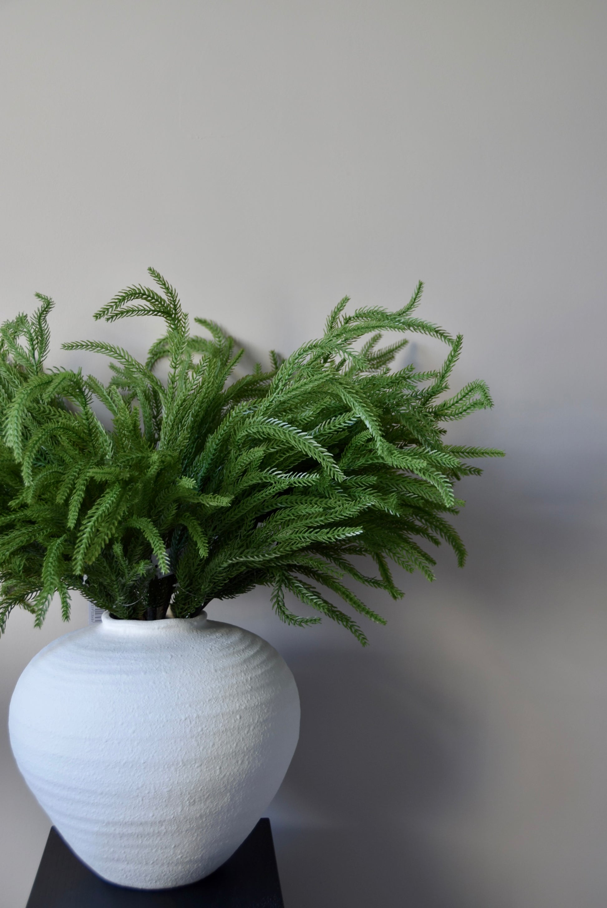 Green norfolk pine foliage in a white vase on a black stand against a plain background
