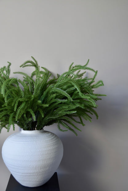 Green norfolk pine foliage in a white vase on a black stand against a plain background