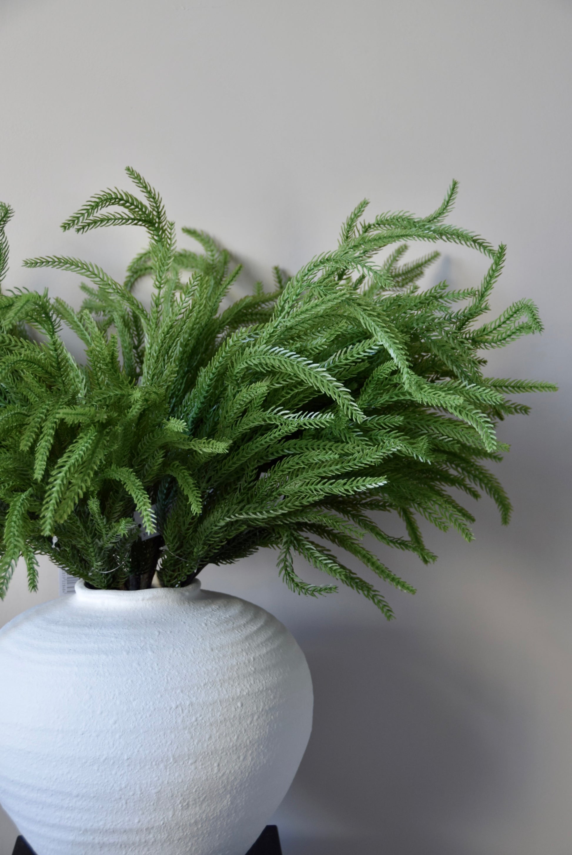 Green pine stem in a white vase against a plain background