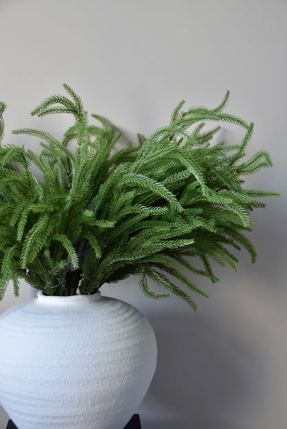 Green pine stem in a white vase against a plain background