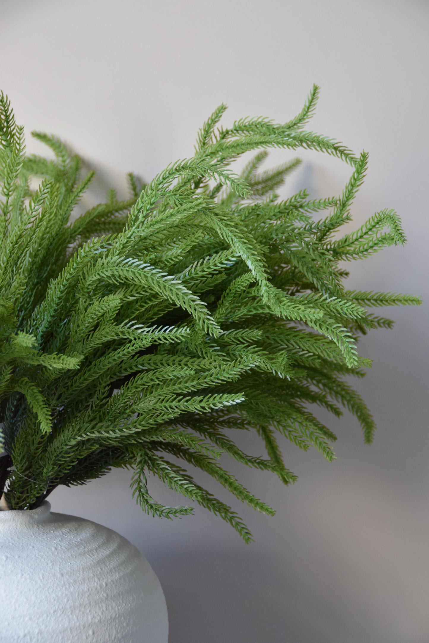 Close-up of a green plant with a blurred background