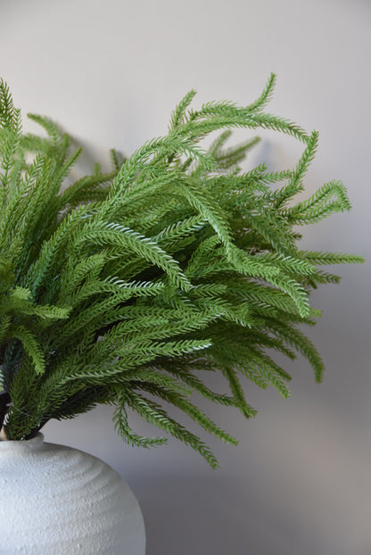 Close-up of a green plant with a blurred background