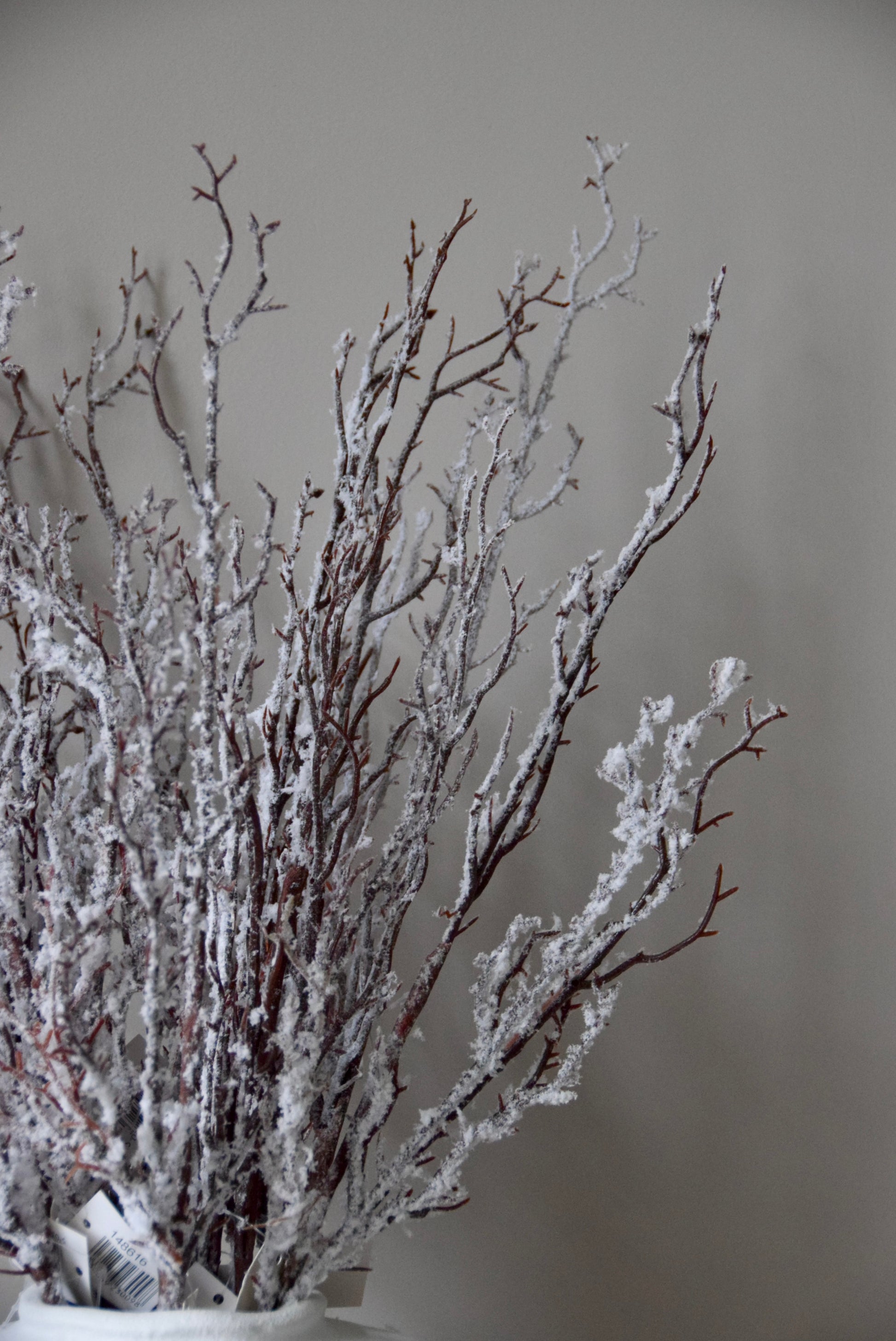 Decorative branches with snow-like texture against a plain background