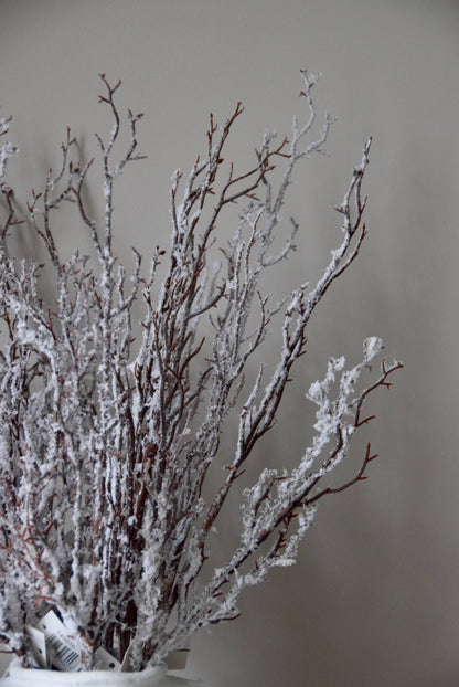 Decorative branches with snow-like texture against a plain background