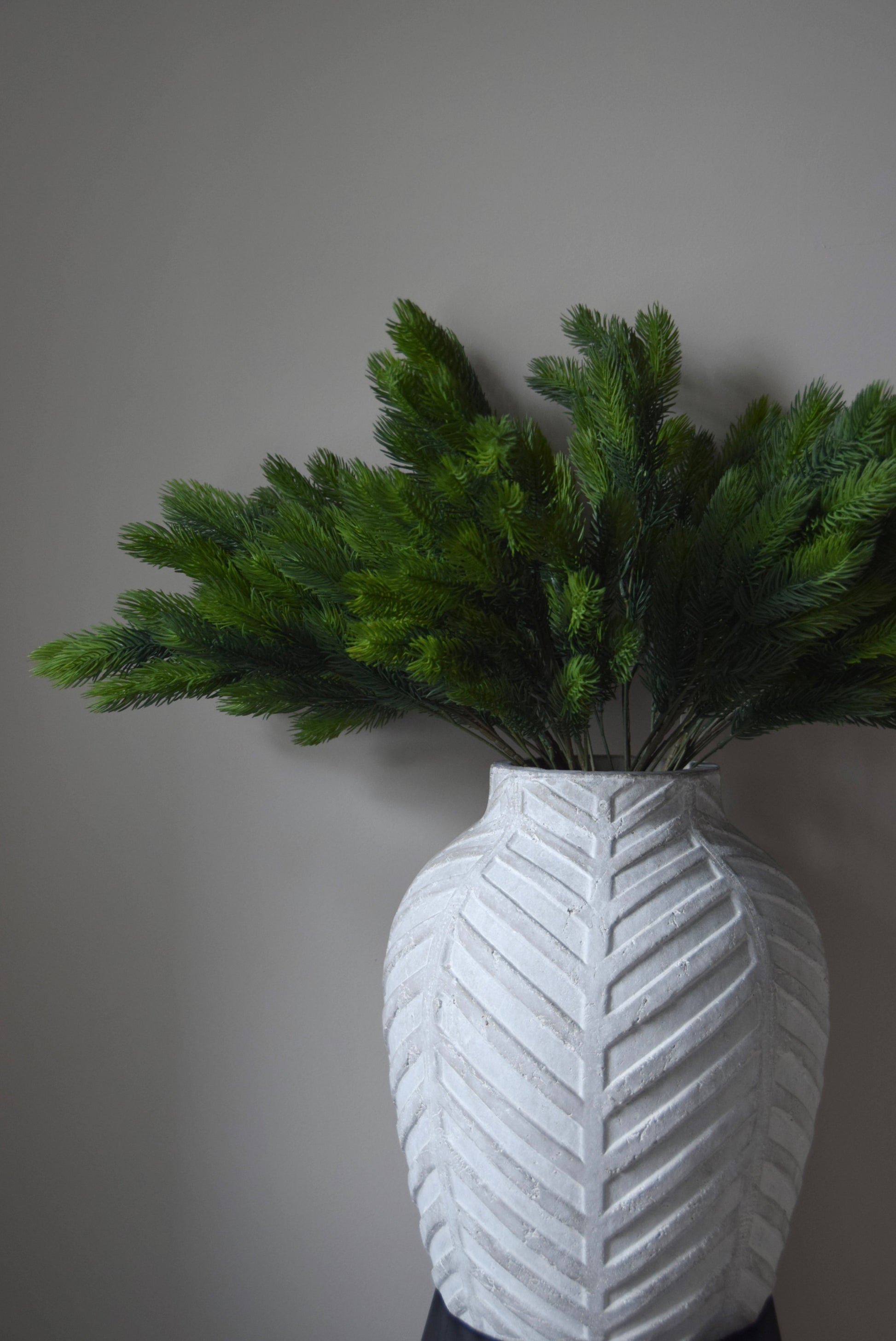 White textured vase with green spruce branch against a plain background