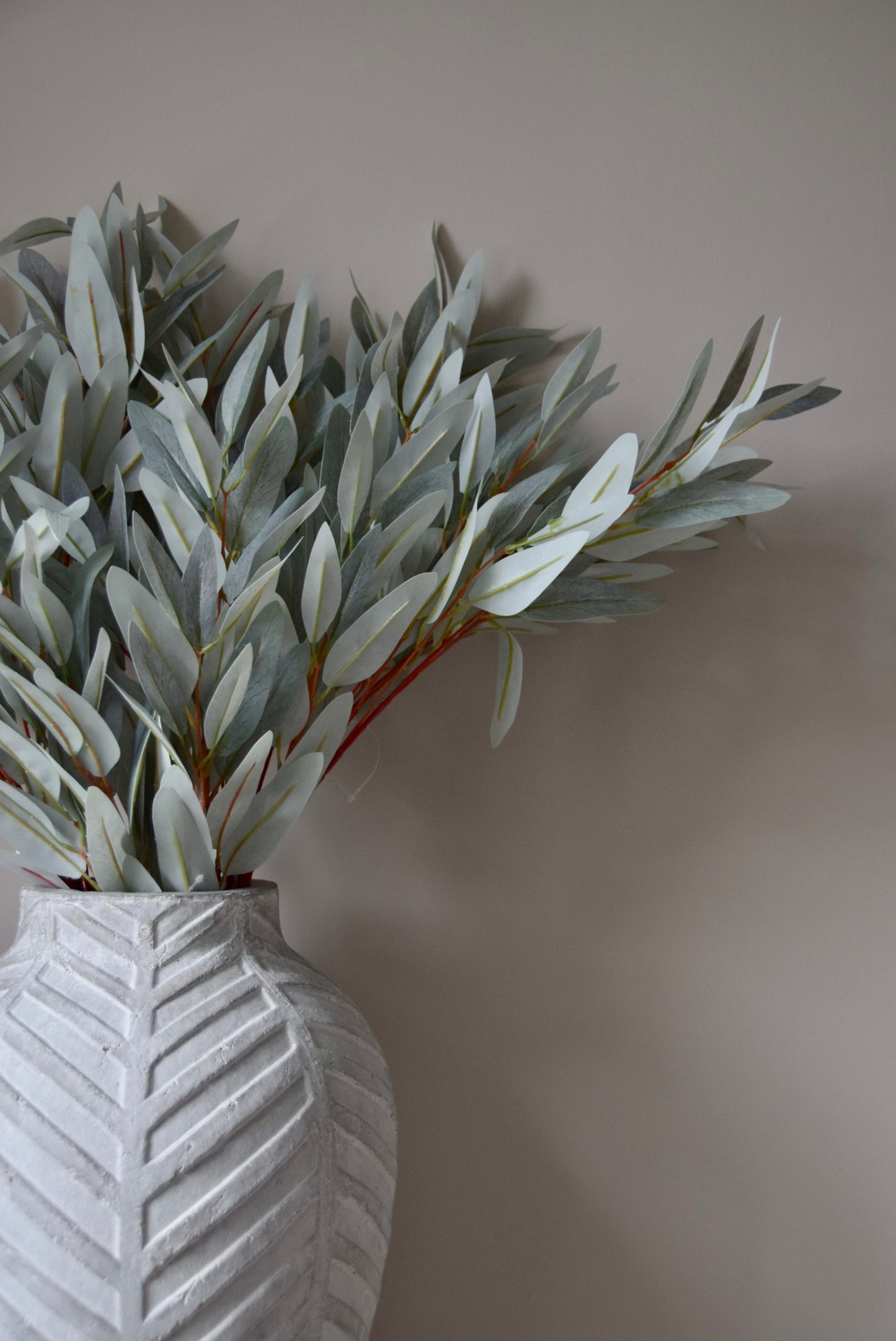 White vase with eucalyptus leaves against a plain wall