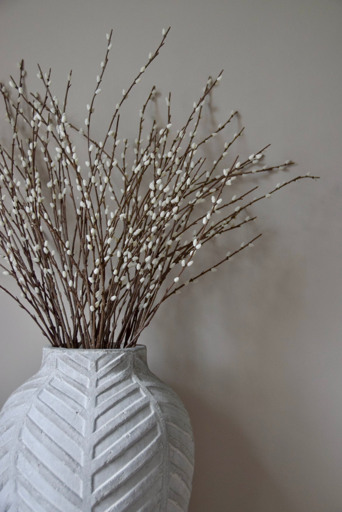 White textured vase with pussy willow against a plain wall