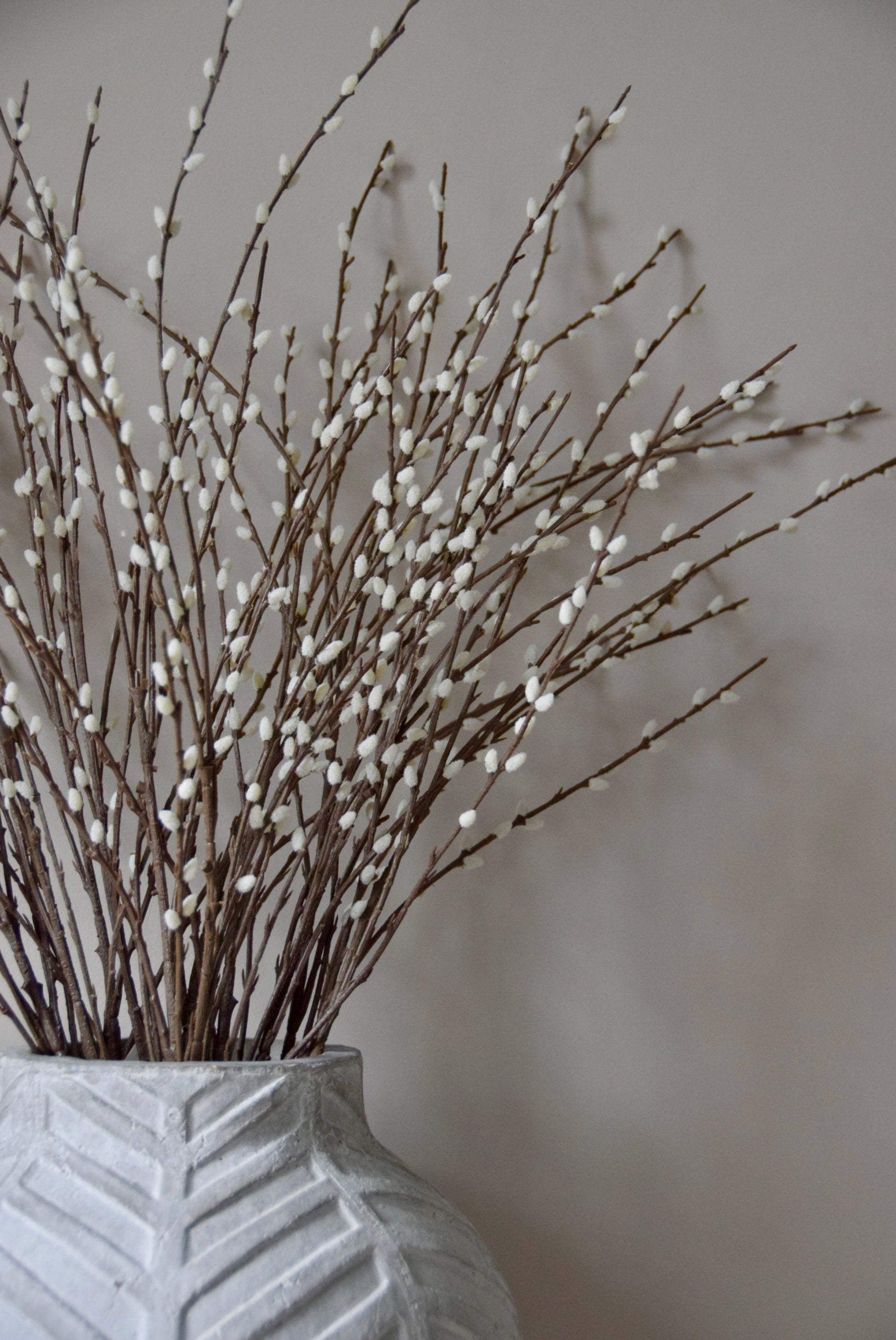 Decorative vase with pussy willow branches against a plain background