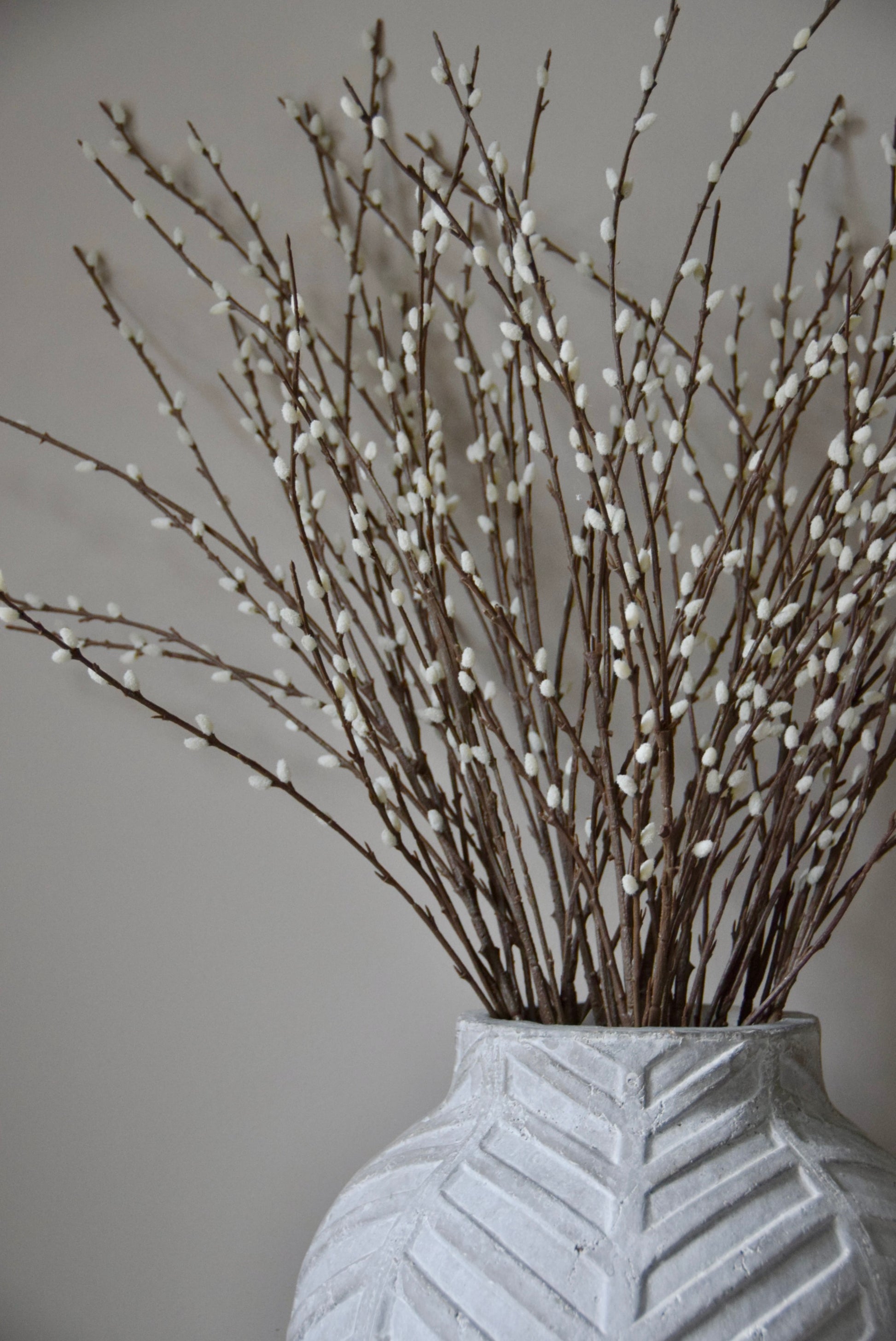 Vase with textured pattern containing dried branches against a plain background