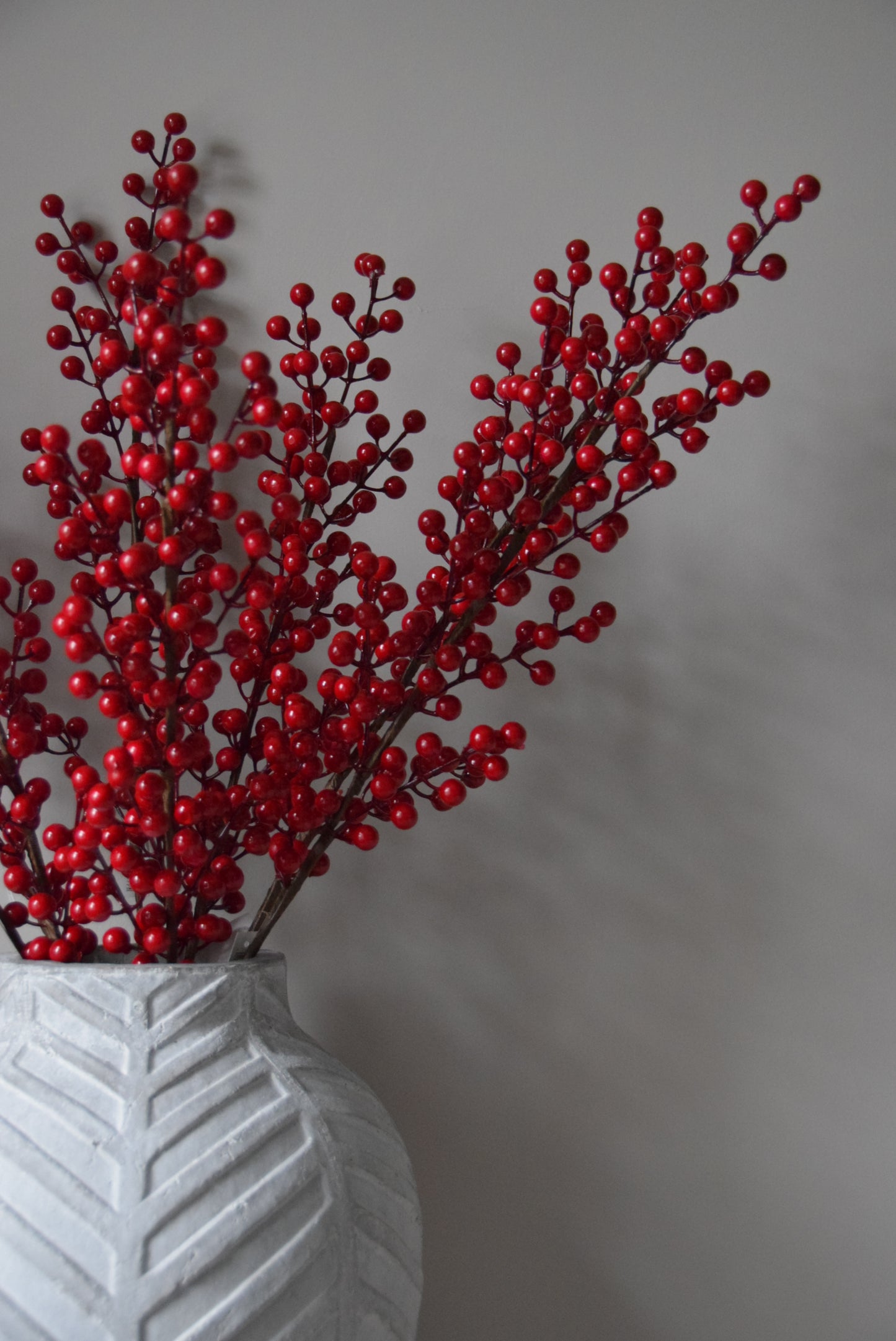 Red berry branch against a grey background