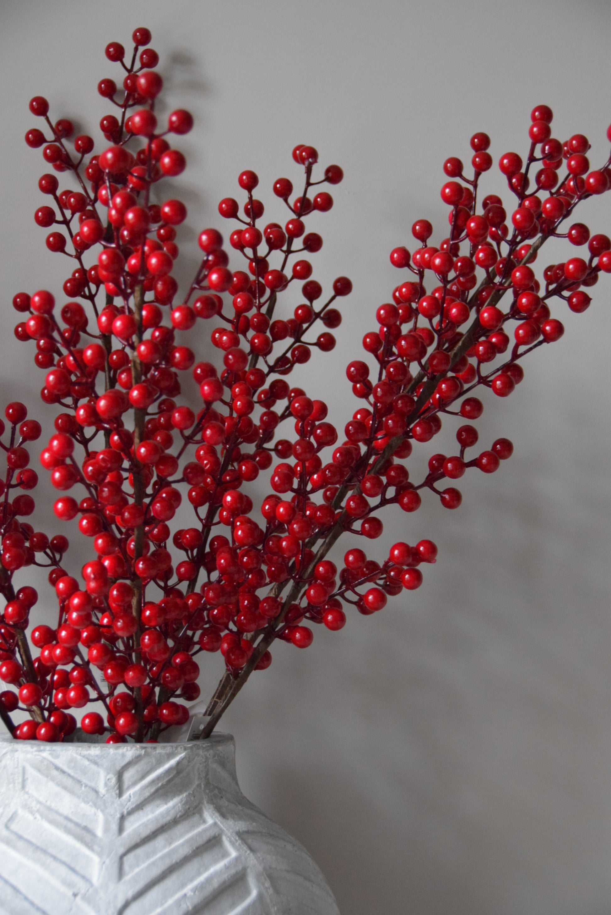 Branch of red berries against a neutral background