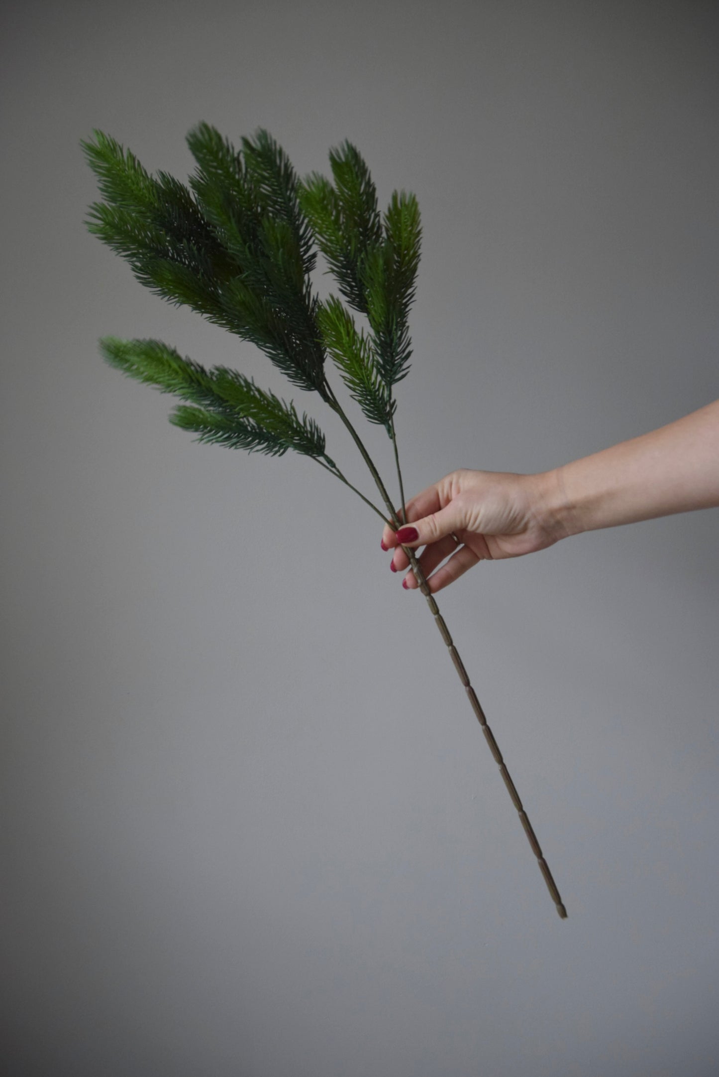 Hand holding an artificial spruce branch against a grey background