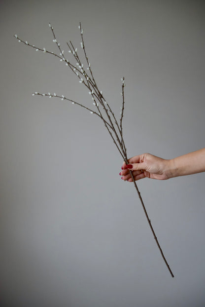 Hand holding a pussy willow branch against a grey background