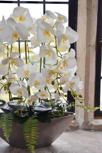 Silver ark bowl placed on a stone windowsill with an arrangement of white orchids for home decor. Arranged in a country style kitchen for home decor.