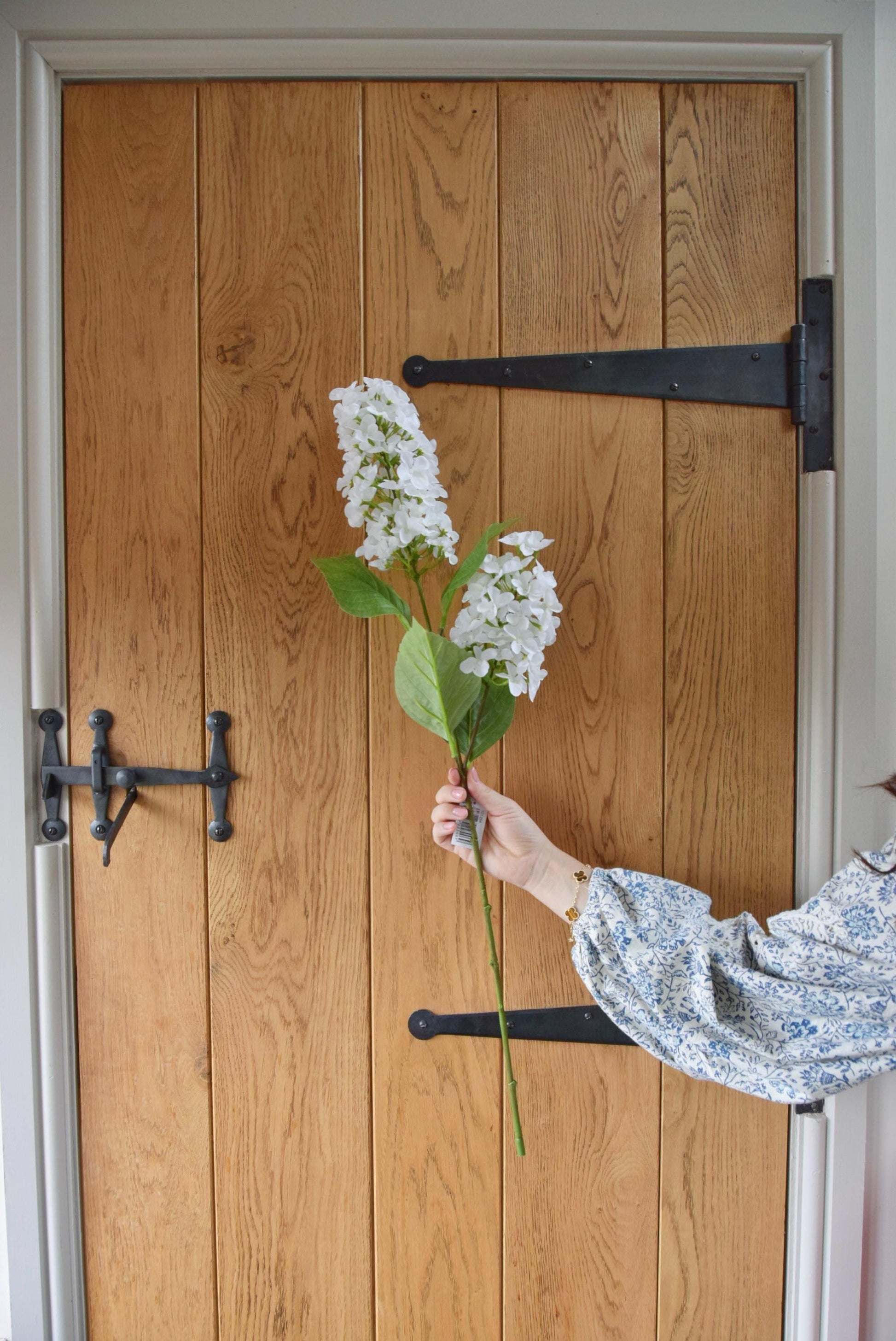 White paniculata hydrangea displayed against a country style wooden door.