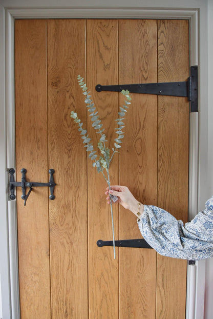 Tall dusted artificial eucalyptus stem displayed against a country style wooden door.