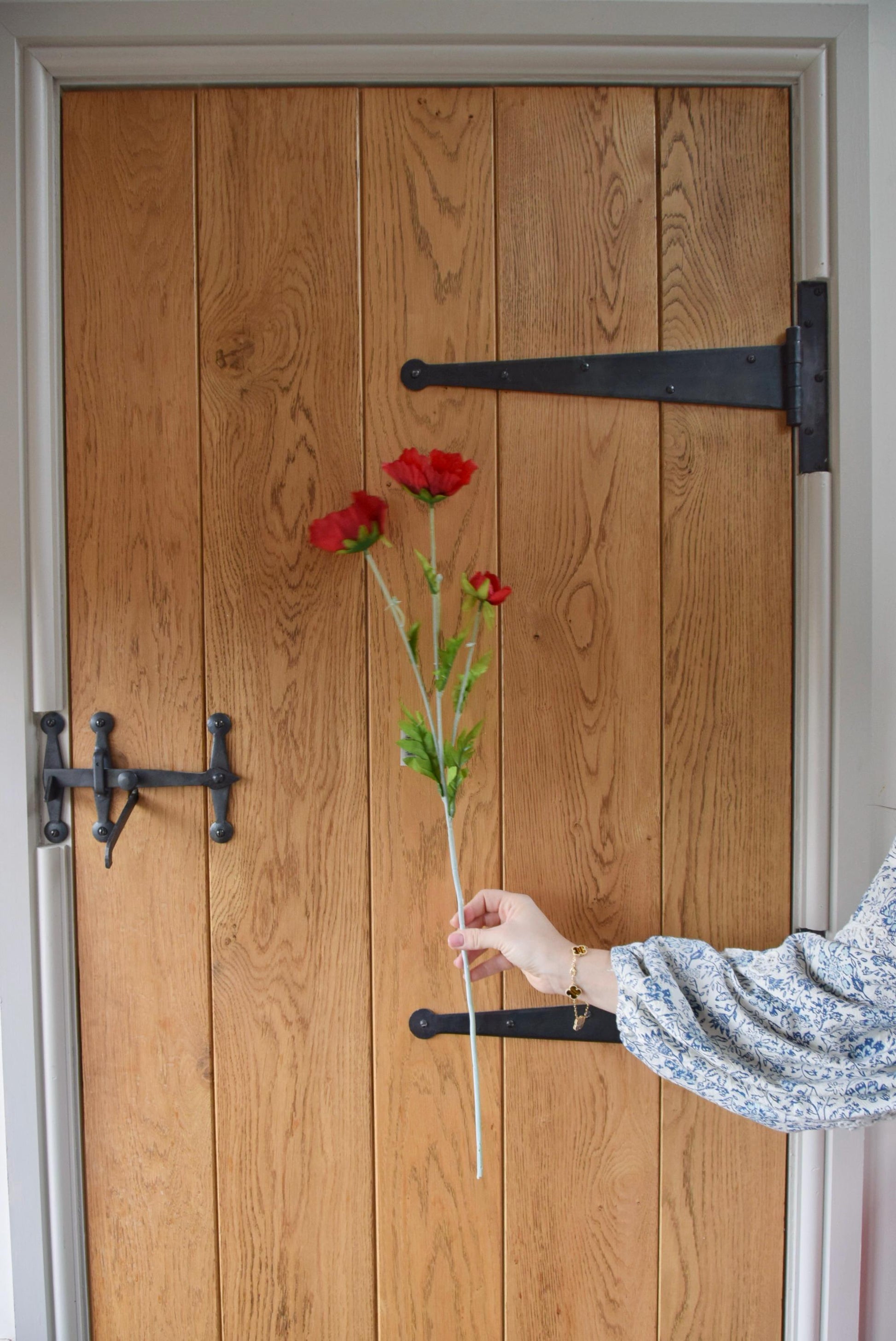 Tall red country poppy displayed against a country style wooden door.