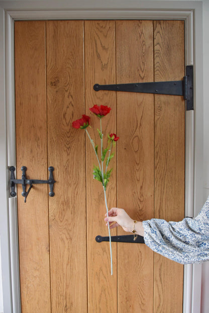 Tall red country poppy displayed against a country style wooden door.
