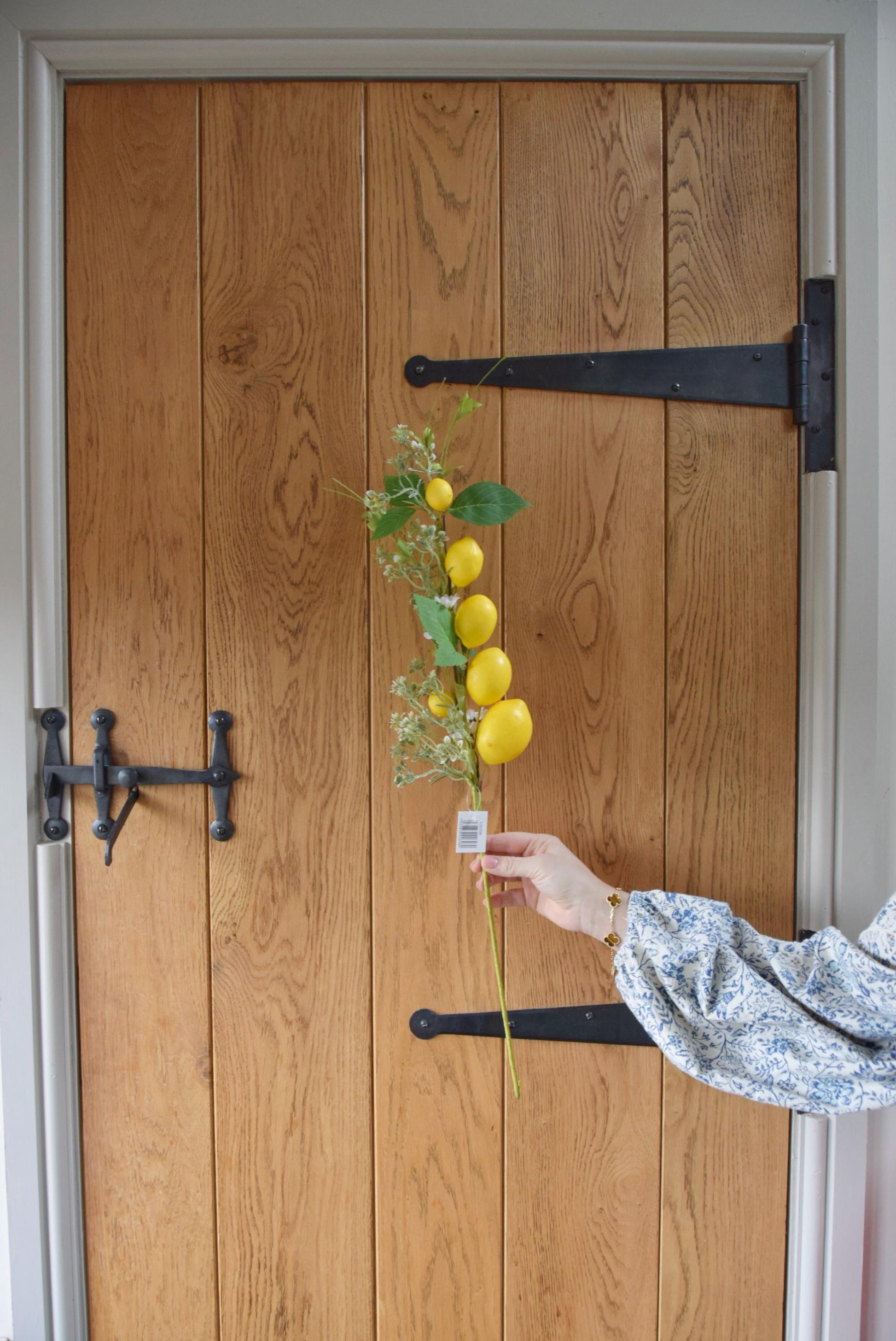 Lemon branch stem displayed against a country style wooden door.