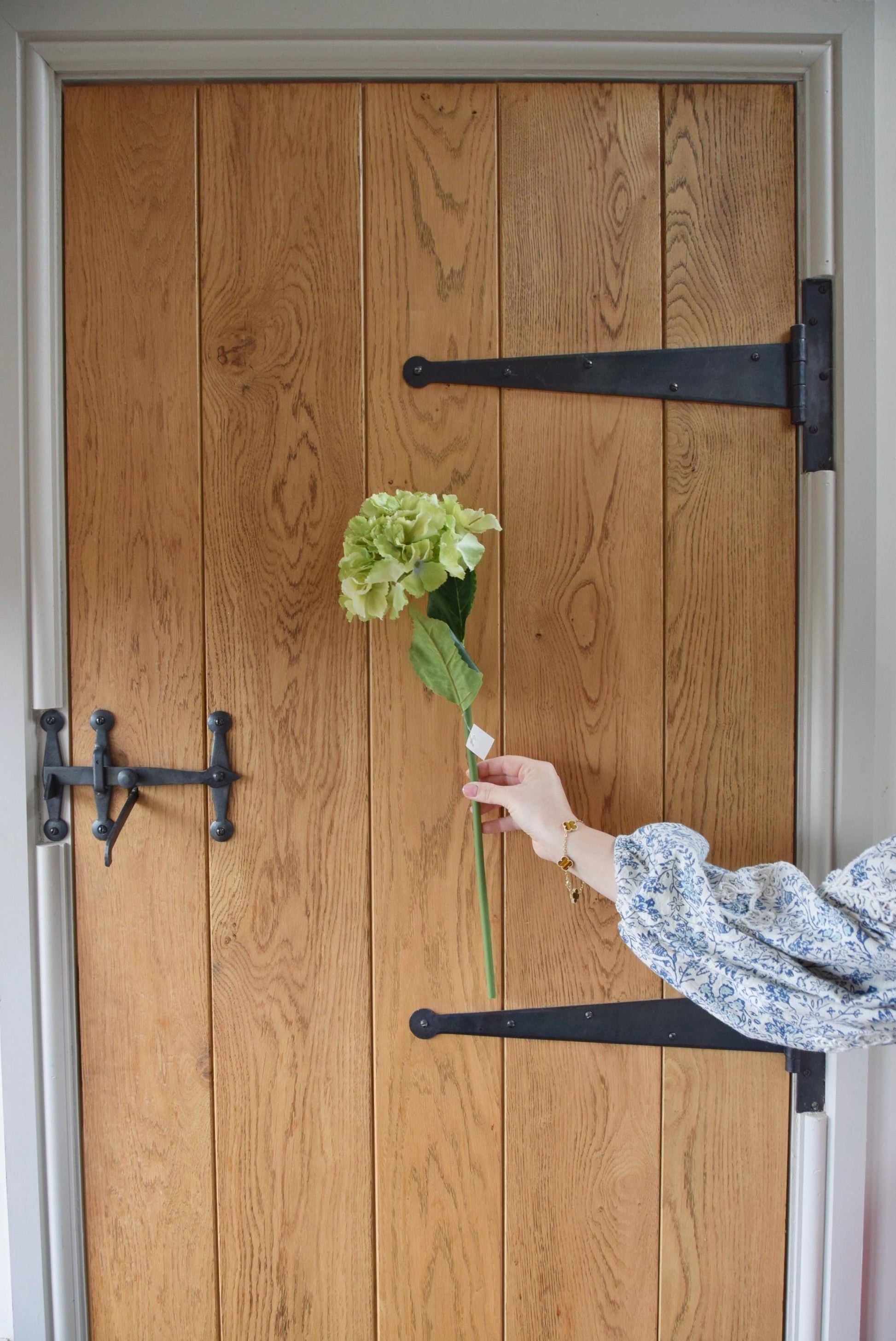 Green hydrangea stem displayed against a rustic country style barn door.