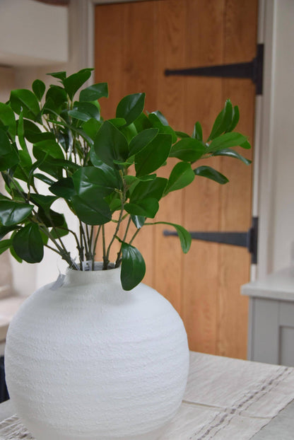 White round vase placed on a kitchen countertop with a bunch of obovate leaf foliage stems. Displayed in a country style kitchen for home decor.