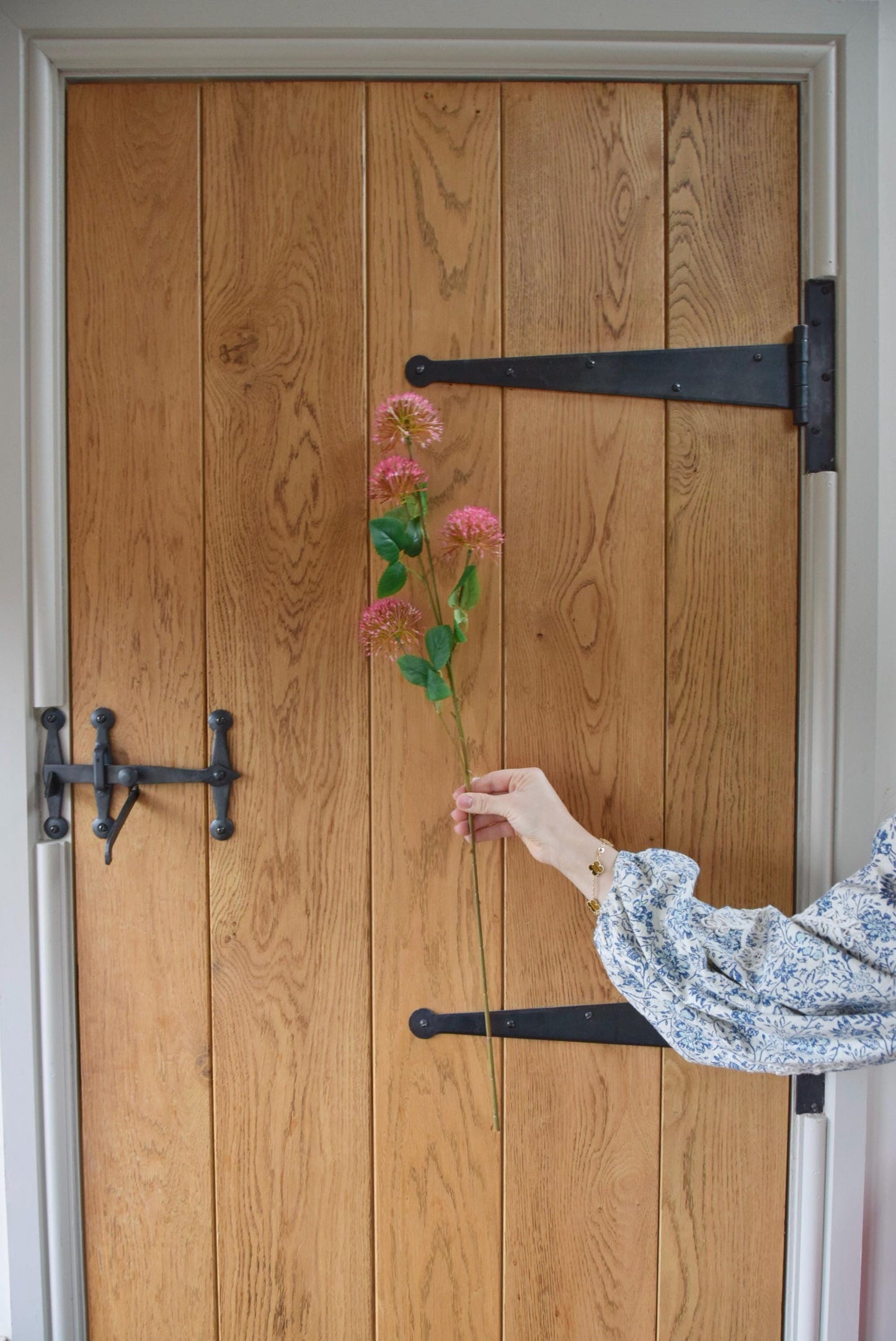 Pink pom pom spray displayed against a country style wooden door.