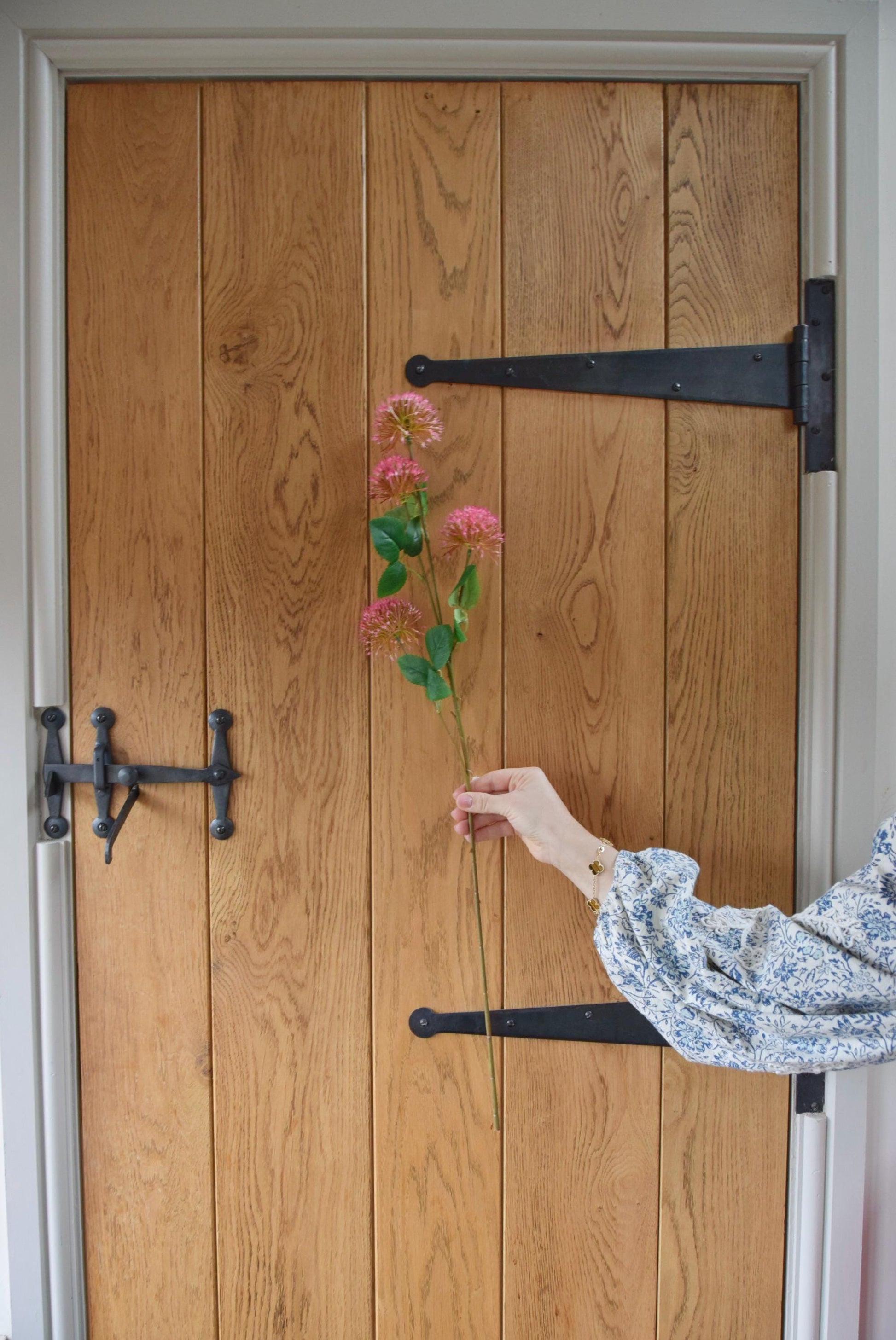 Pink pom pom spray displayed against a country style wooden door.