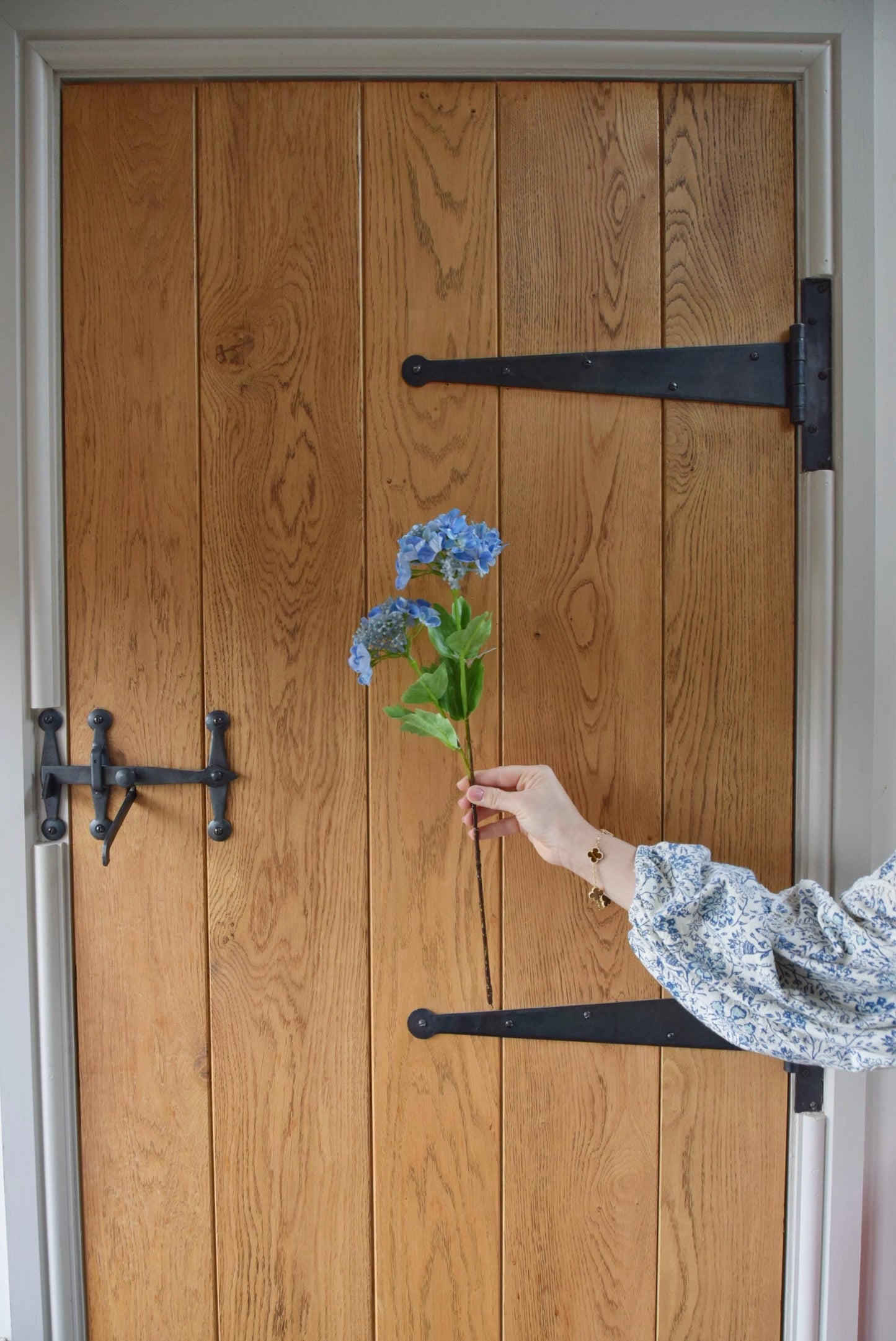Blue lace cap hydrangea displayed against a country style wooden door.