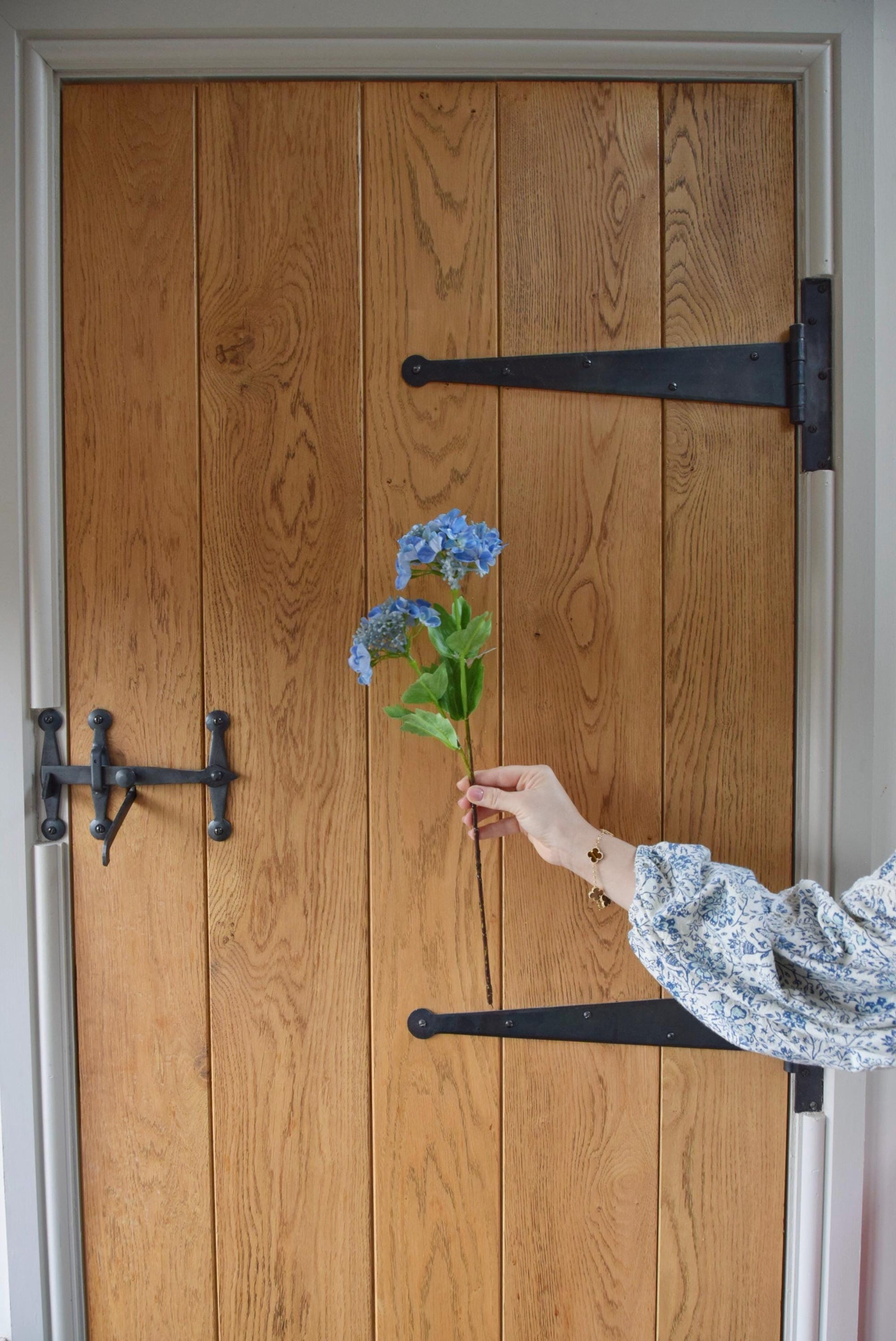 Blue lace cap hydrangea displayed against a country style wooden door.